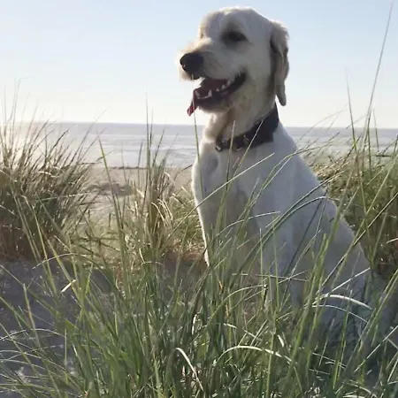 Blumeninsel דירה הורומרזיל