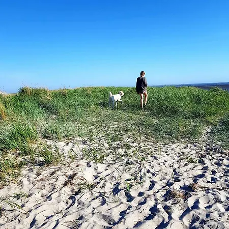 아파트 Blumeninsel 호루메르질