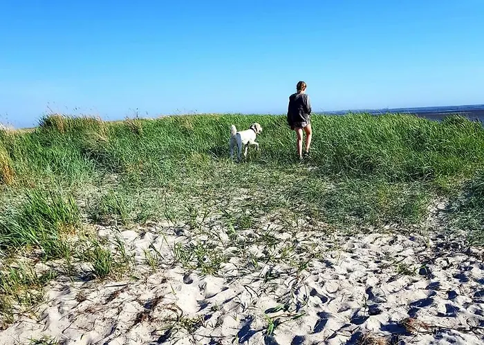 公寓 Blumeninsel 霍鲁梅尔希尔